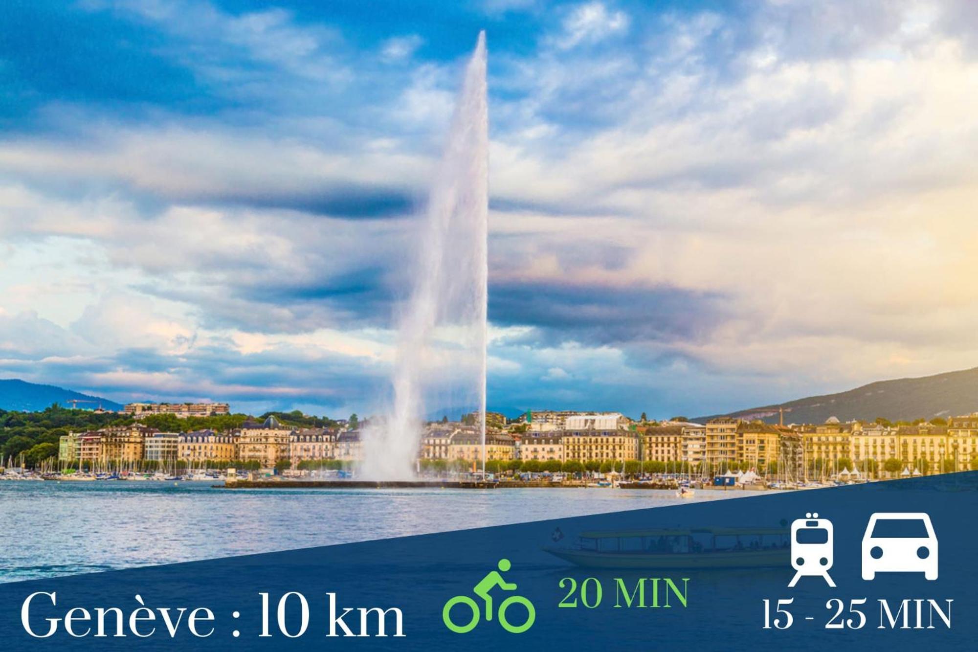 Homey Keola - Parking Prive Gratuit - Aux Portes De Geneve - Au Pied Du Tram - Appartement Avec 1 Chambre Et Un Grand Salon Avec Un Canape-Lit アンビイ エクステリア 写真